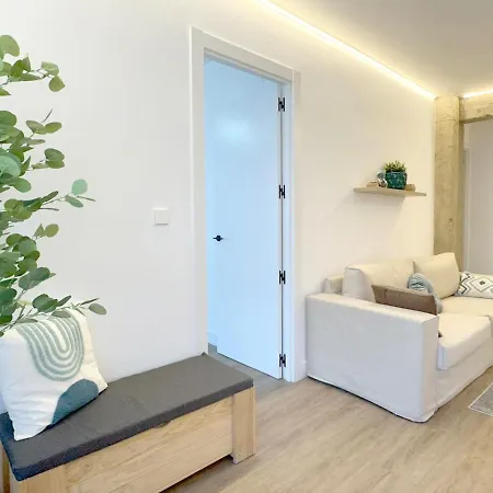 Amplio En El Centro Castro Urdiales